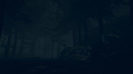 The Children of The Woods: Lost Tape — screenshot 5
