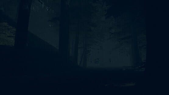 The Children of The Woods: Lost Tape — screenshot 6