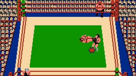 Tag Team Wrestling — screenshot 1