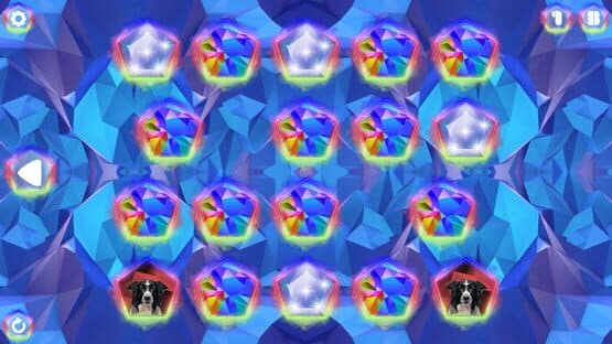 Poly Memory: Dogs — screenshot 5