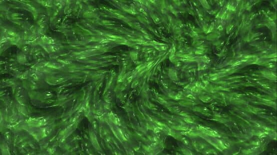 Slime Simulator Games — screenshot 7
