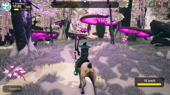 The Witch of Fern Island — screenshot 4