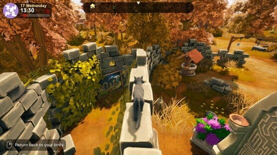 The Witch of Fern Island — screenshot 7