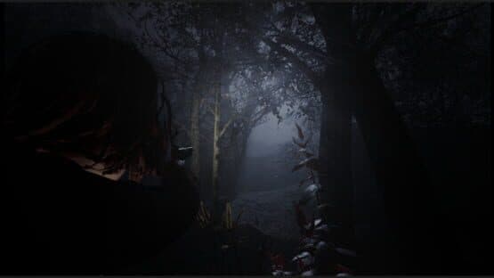 Cult of Dawn — screenshot 6