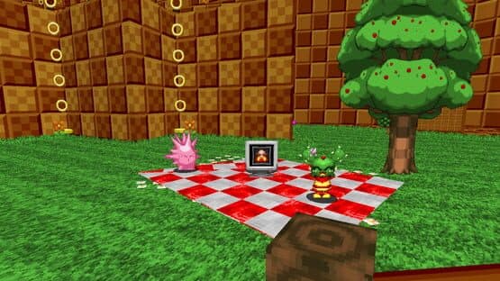 Sonic Robo Blast 2: Cacee "Kiwi" Cactus — screenshot 2