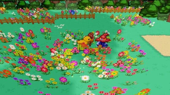 Wizarducks and the Lost Hat — screenshot 5