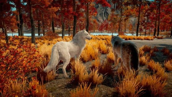 Wolf Survival — screenshot 2