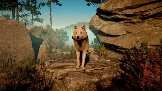 Wolf Survival — screenshot 3