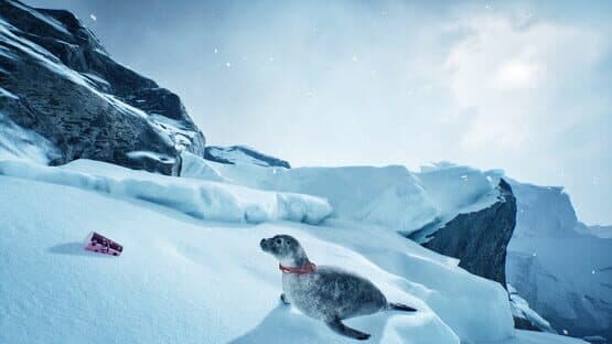 Wildlife Rescue Simulator — screenshot 2