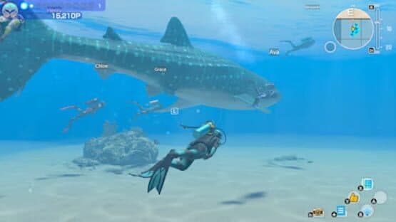 Endless Ocean: Luminous — screenshot 2