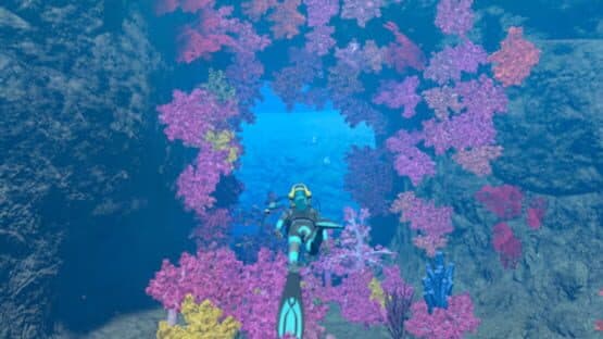 Endless Ocean: Luminous — screenshot 5