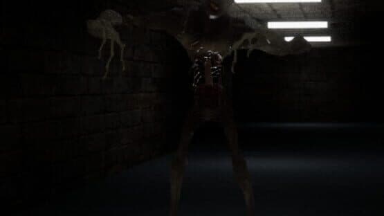 The Corridors — screenshot 3