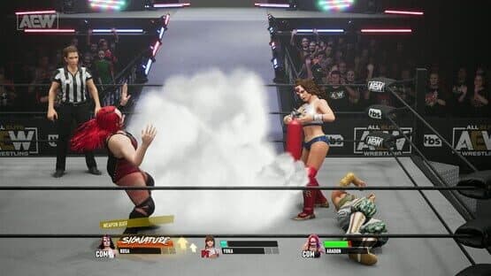 All Elite Wrestling: Fight Forever - Dynamite featuring The Acclaimed — screenshot 5