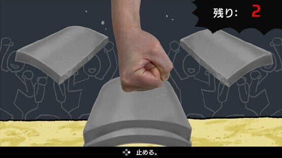 Tori Tamashii 2: Minna de Chicken-do Shindan — screenshot 4