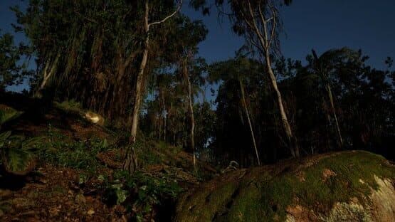 Waidh — screenshot 3