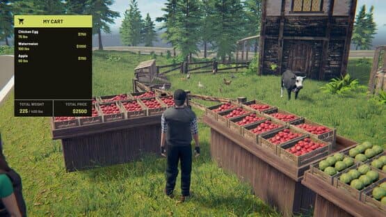 Village Dealer — screenshot 6