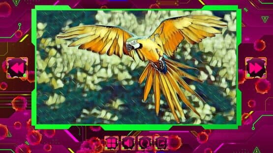 Twizzle Puzzle: Birds — screenshot 2