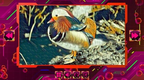 Twizzle Puzzle: Birds — screenshot 6