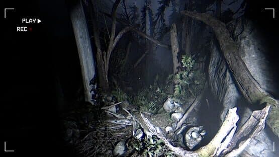 Together After Dark — screenshot 1