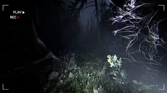 Together After Dark — screenshot 2