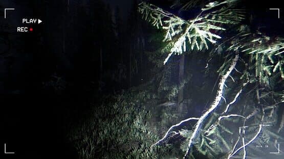 Together After Dark — screenshot 6