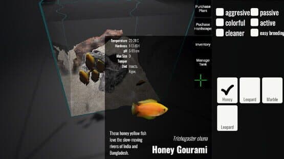 CEO Fish — screenshot 4