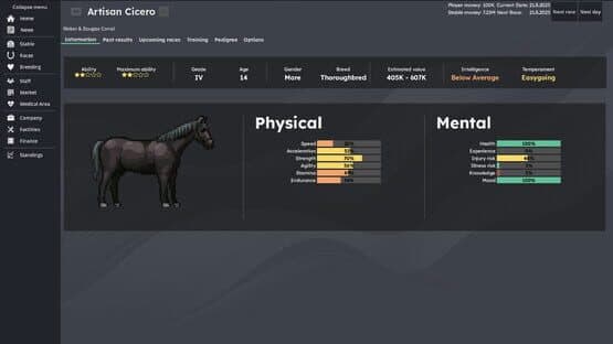 Horse Racing Manager — screenshot 2