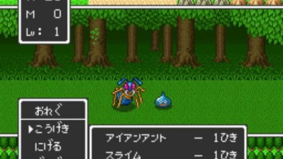Dragon Quest II: Akuryo no Kamigami — screenshot 2