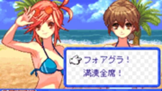 Beach Volleyball Girl Shizuku 2: Hishou-Hen — screenshot 7