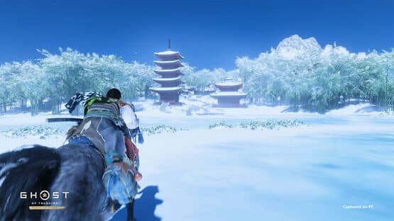 Ghost of Tsushima: Director's Cut — screenshot 6
