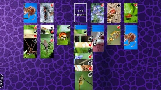 Wyvern Studios Solitaire: 30th Aniversary Edition — screenshot 3