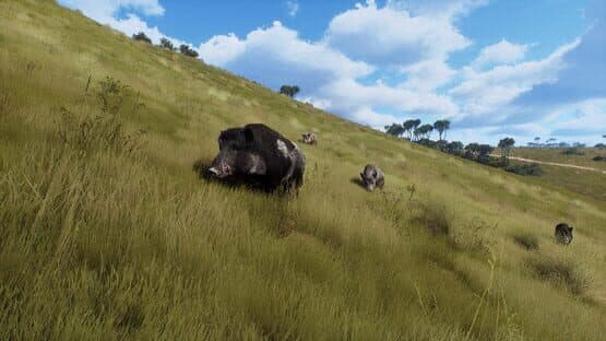 Way of the Hunter: Matariki Park — screenshot 2