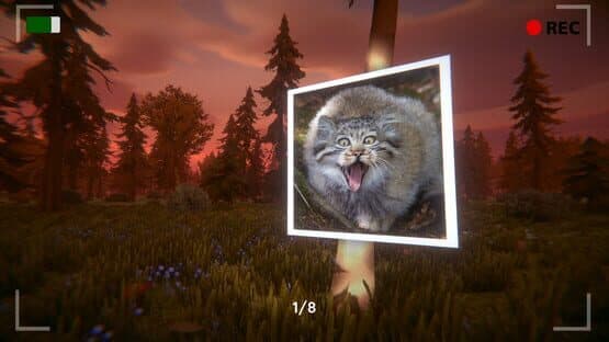 Floppa: The Dark Forest — screenshot 5
