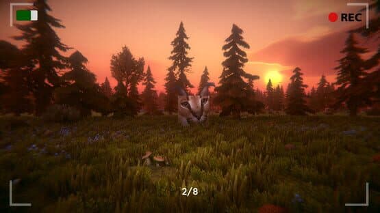 Floppa: The Dark Forest — screenshot 7