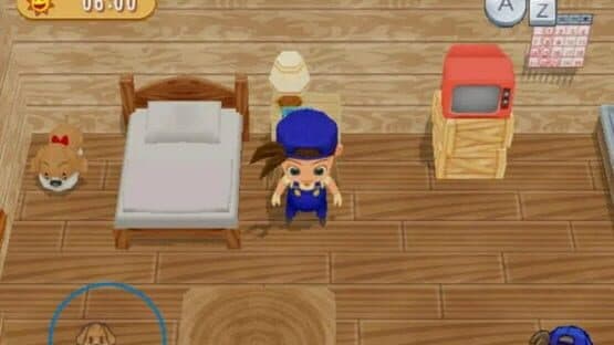 Harvest Moon: Magical Melody — screenshot 1