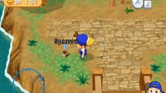 Harvest Moon: Magical Melody — screenshot 5