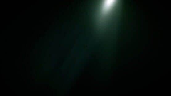 Lio — screenshot 6