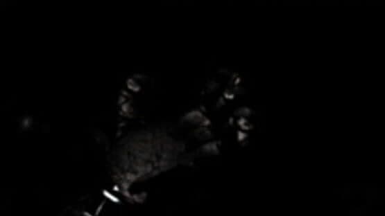 Five Nights at Fredbear's — screenshot 5