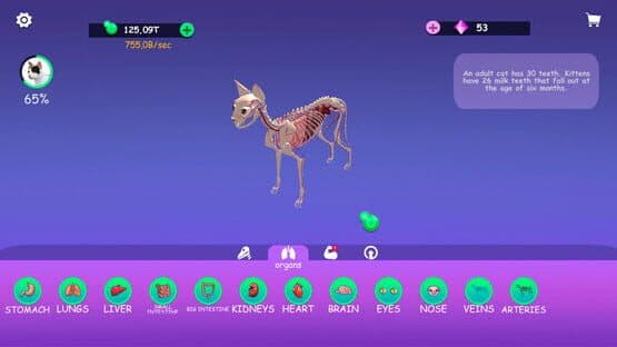 Idle Animal Anatomy — screenshot 1