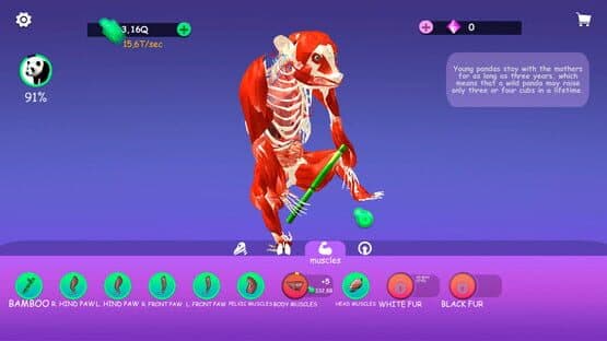 Idle Animal Anatomy — screenshot 2