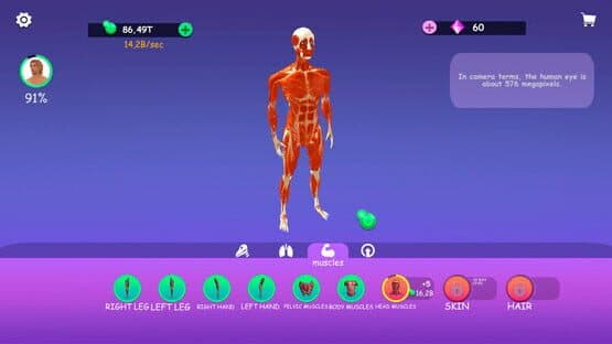 Idle Animal Anatomy — screenshot 4