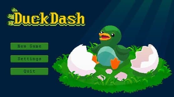 Duck Dash — screenshot 1