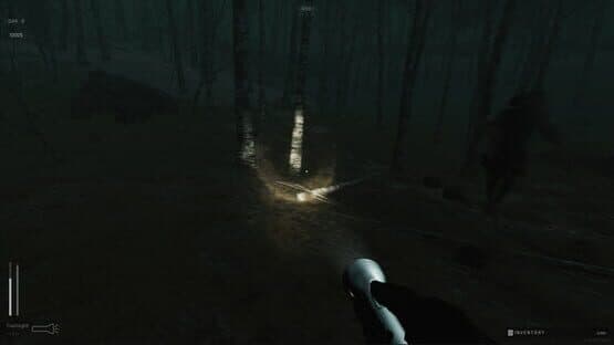 Descending The Woods — screenshot 5