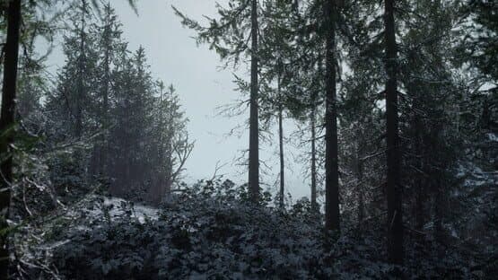 Thorgal — screenshot 3
