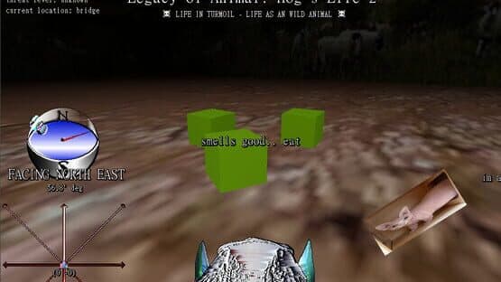 Legacy of Animal: Hog's Life 2 — screenshot 2