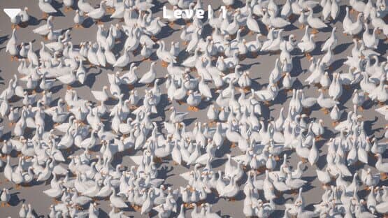 Honker — screenshot 5