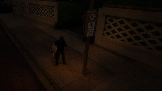 Fleximan — screenshot 4