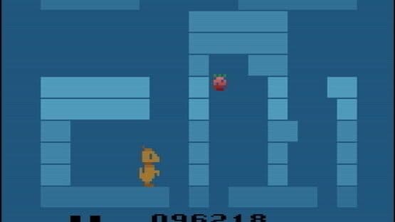 Kelly Kangaroo — screenshot 2