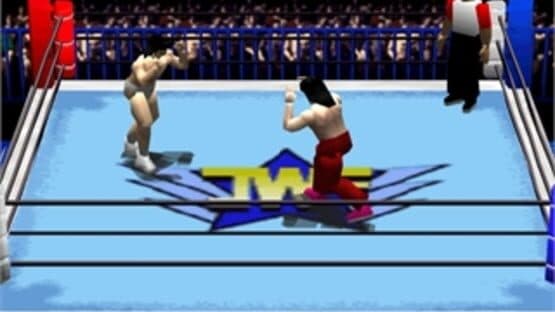 Pro Wrestling Sengokuden: Hyper Tag Match — screenshot 2