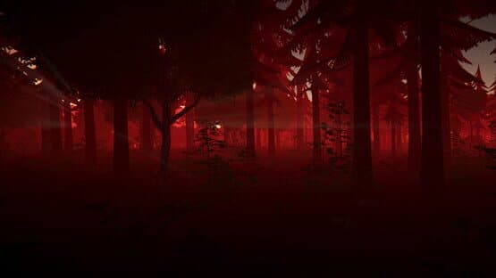 Category 6 — screenshot 6